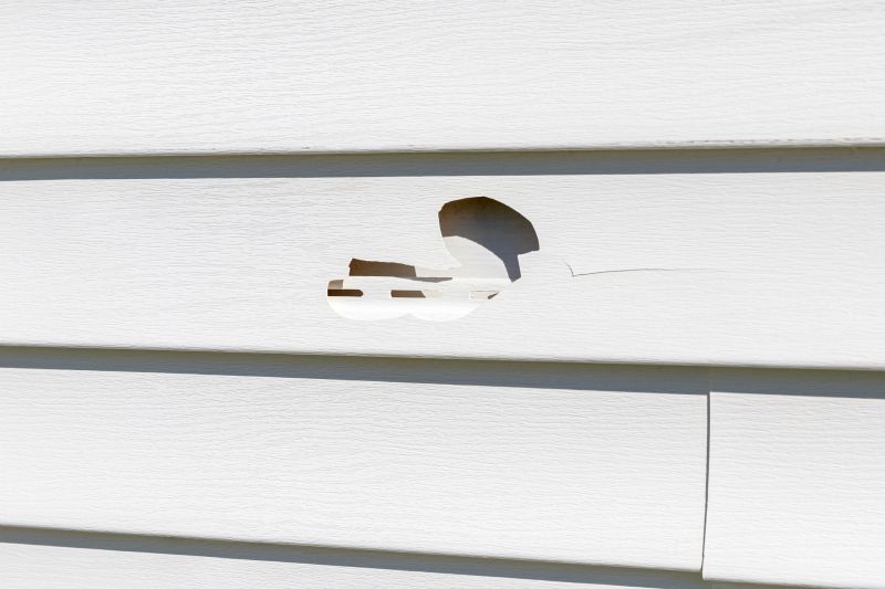 Sealed Vinyl Siding Panel